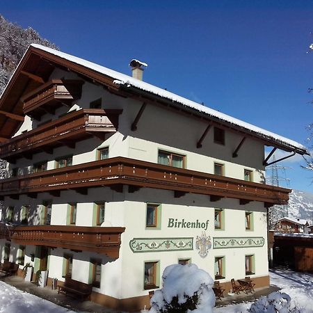 Pension Birkenhof Mayrhofen Bagian luar foto