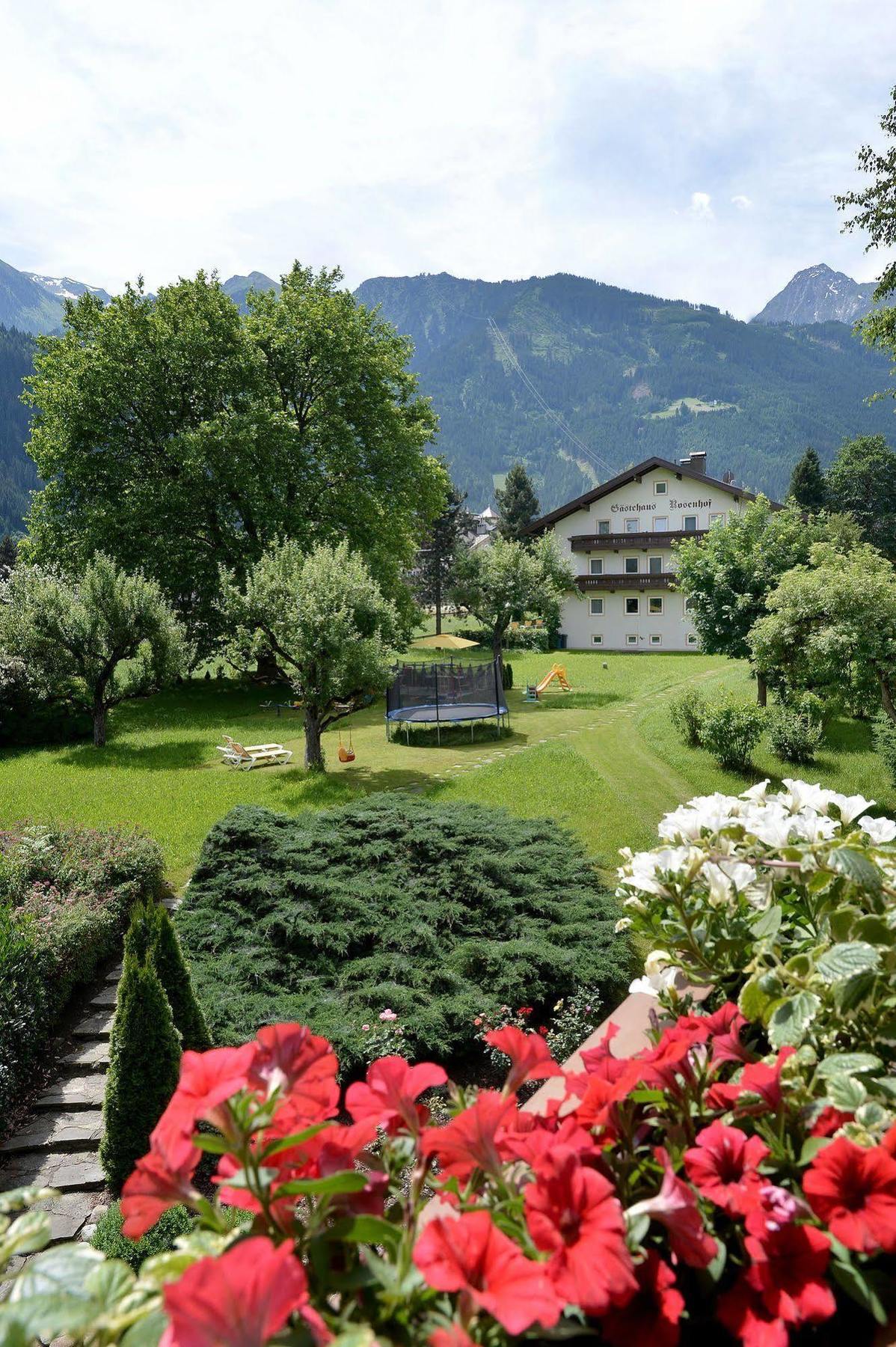 Pension Birkenhof Mayrhofen Bagian luar foto